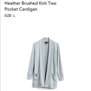 Stitch Fix Long Cardigan Blue NWT Large